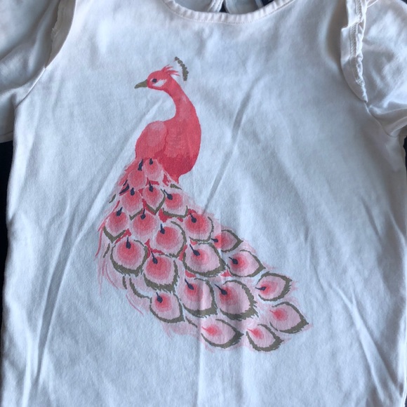 LIKE NEW Janie & Jack Peacock Ruffle Tee w/Matching Pants - Picture 3 of 7